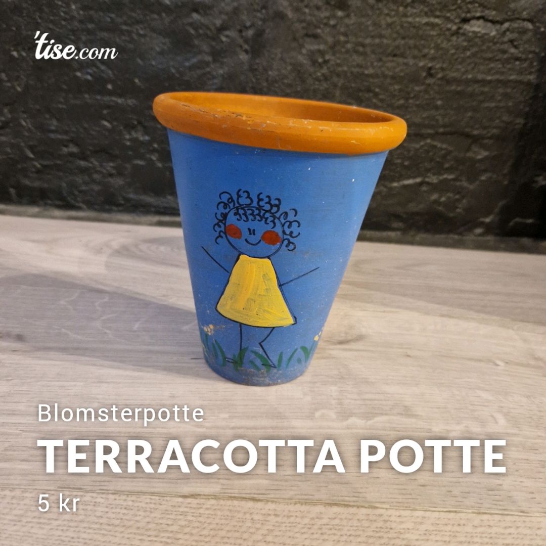 Terracotta Potte