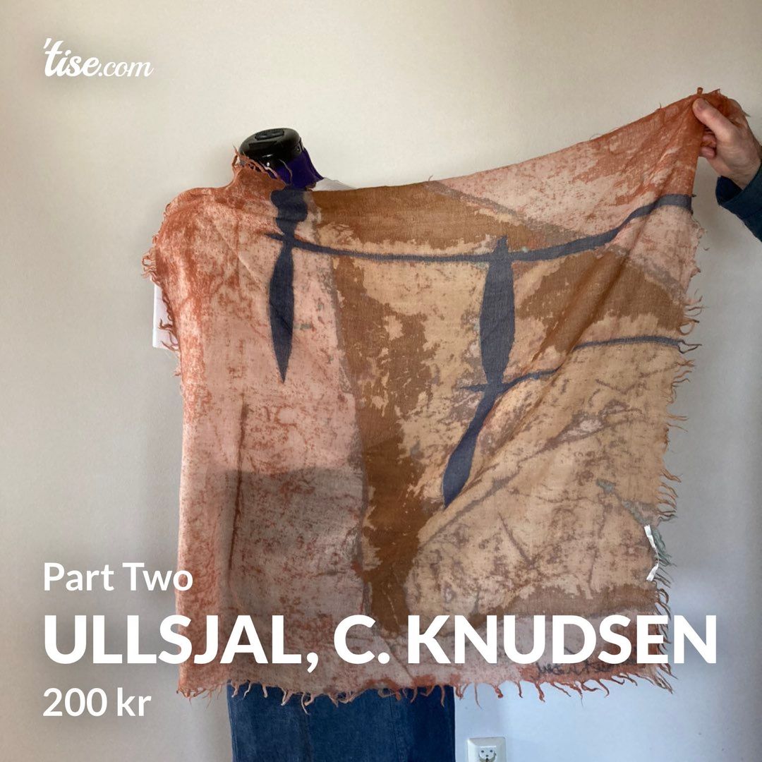 Ullsjal, C. Knudsen