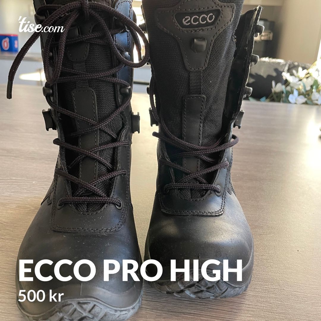 Ecco pro high