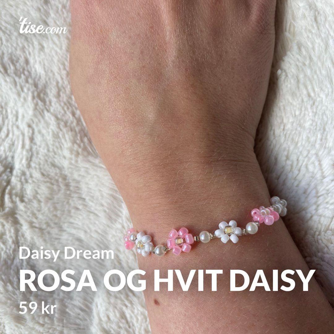 Rosa og hvit daisy