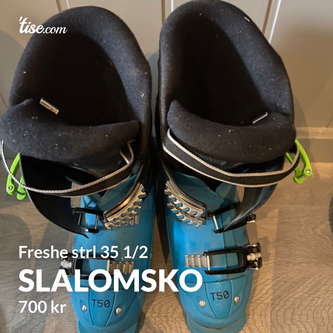 Slalomsko