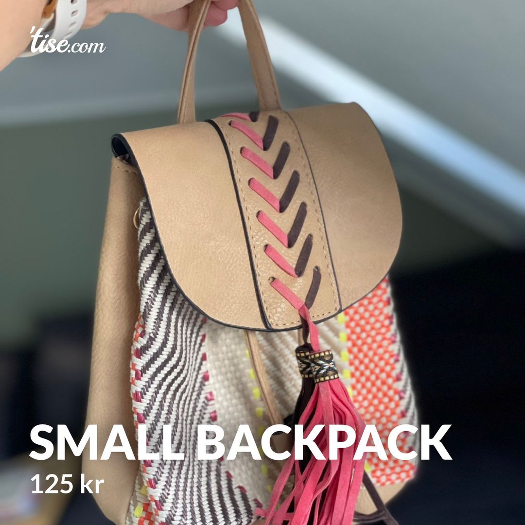 Small backpack