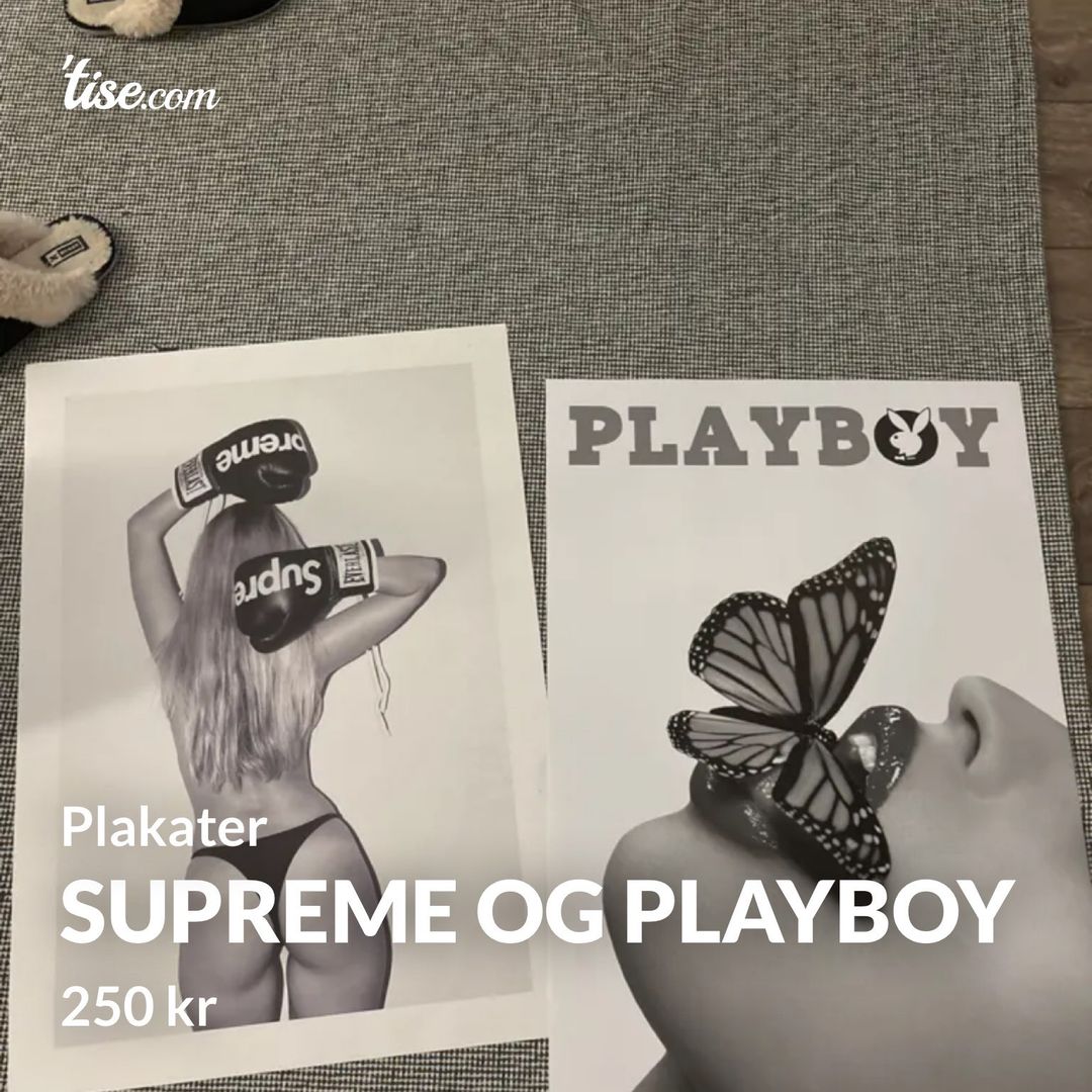 Supreme og playboy