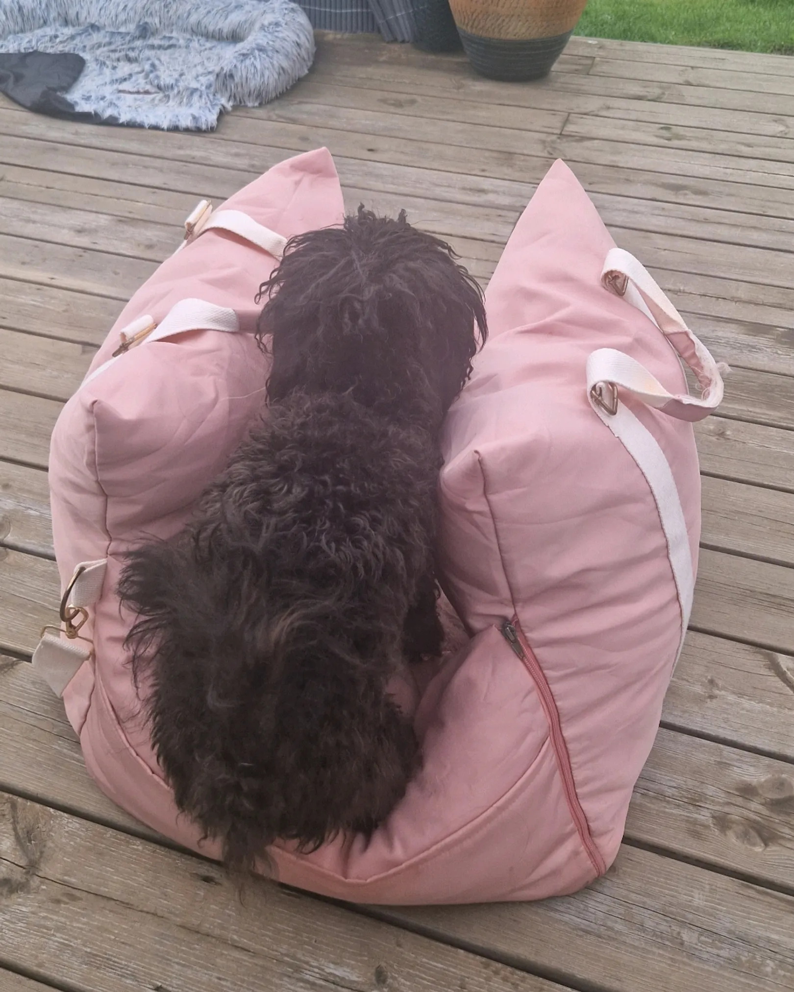 Sovebag Til HUND