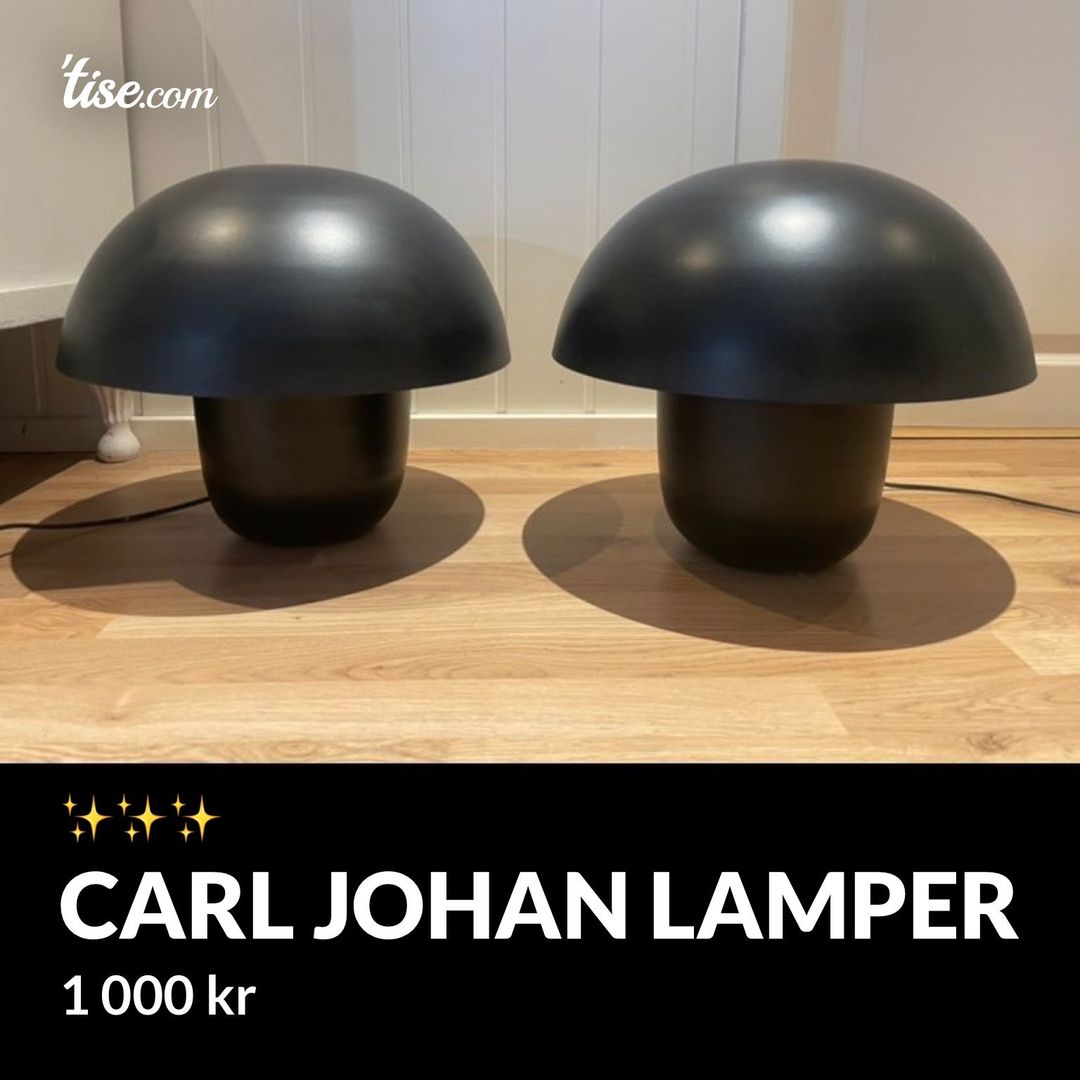 Carl Johan lamper