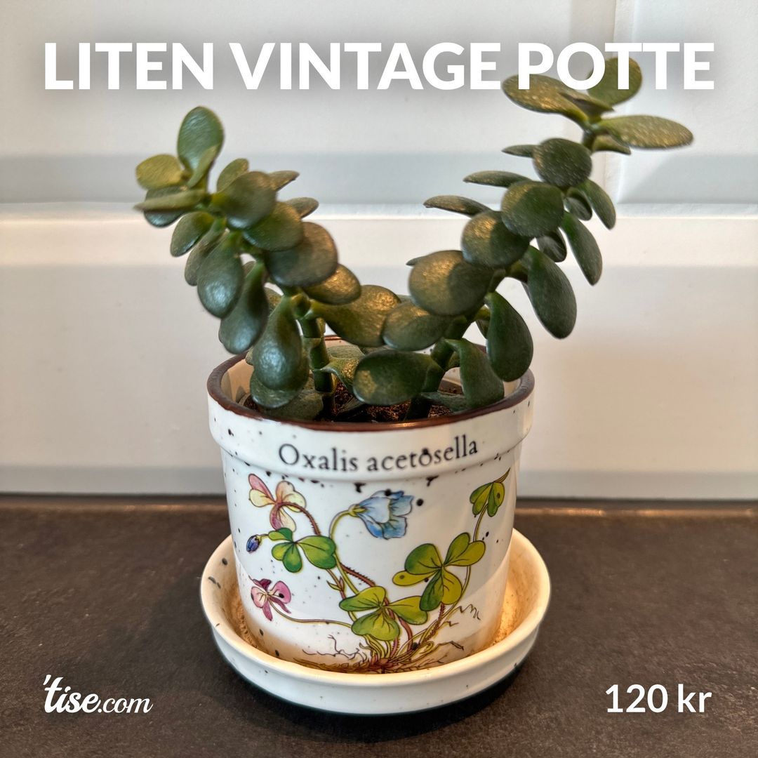 Liten vintage potte