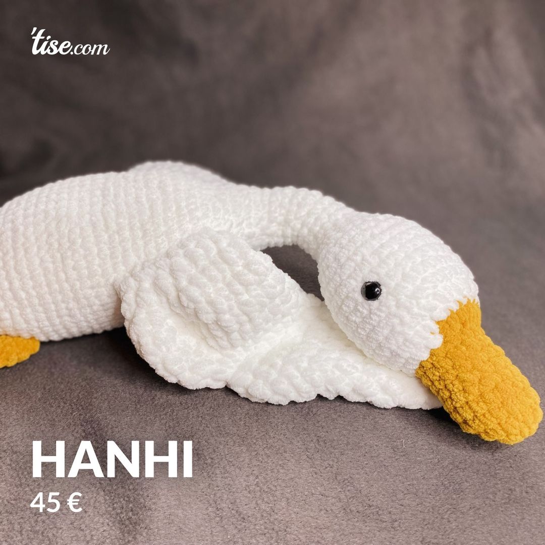 Hanhi