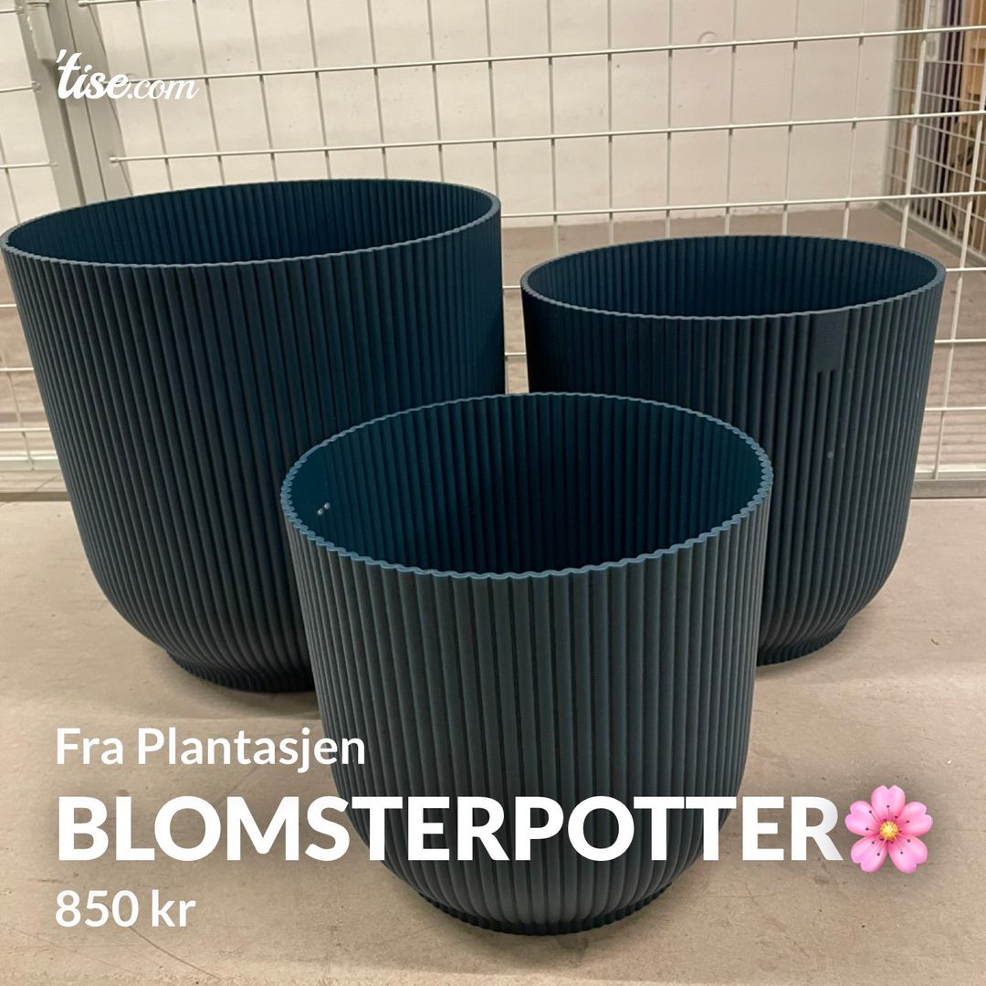 Blomsterpotter🌸