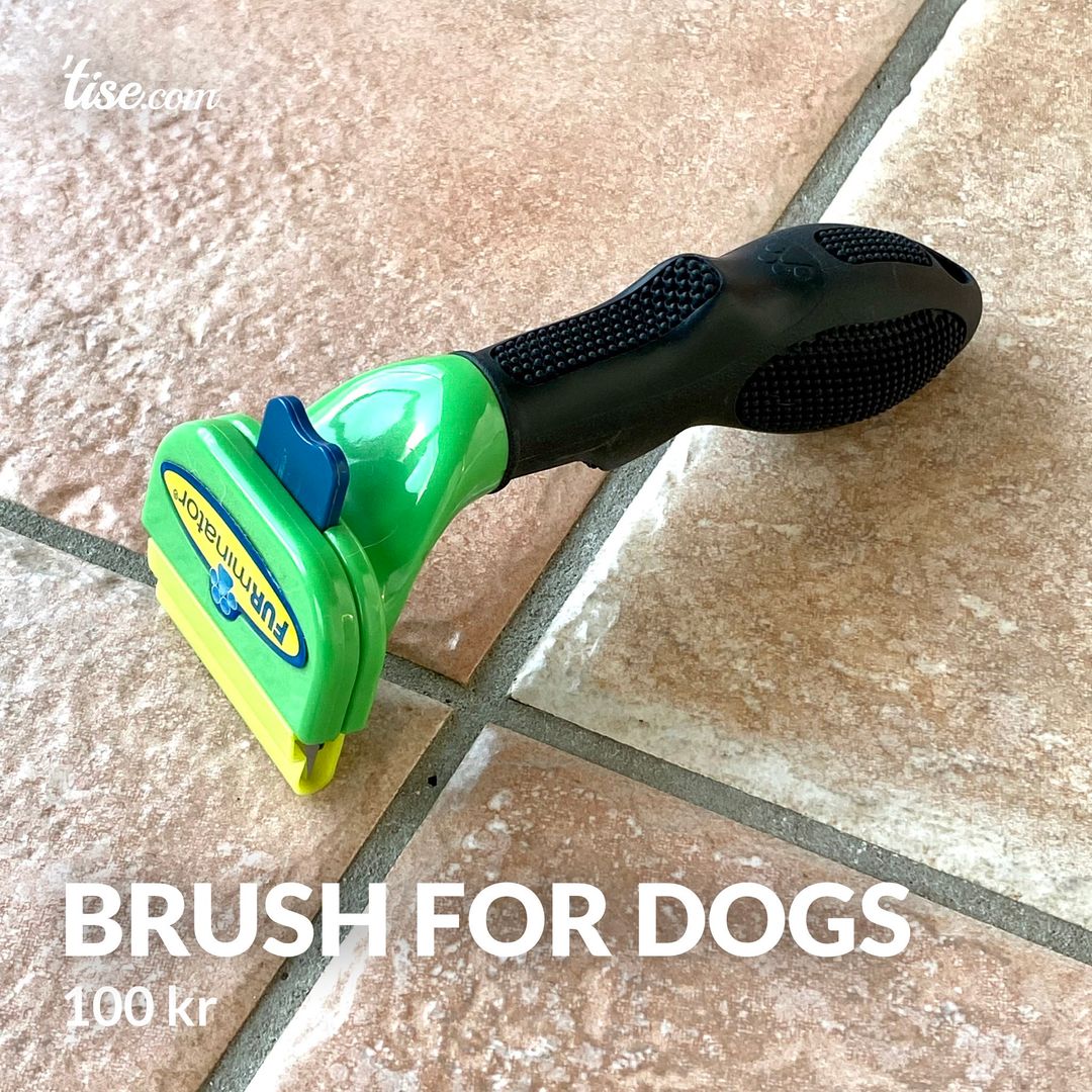 Brush for dogs