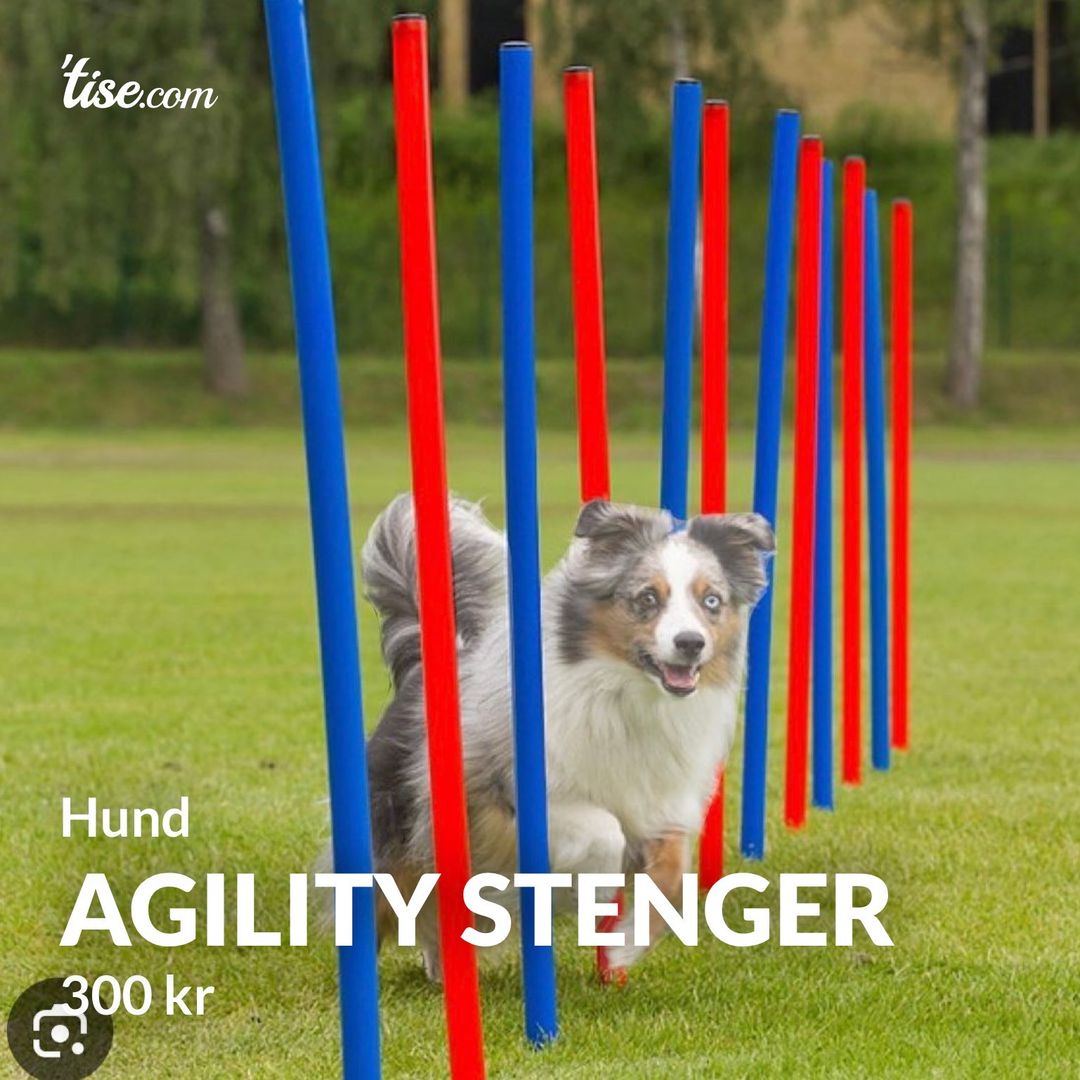 Agility stenger