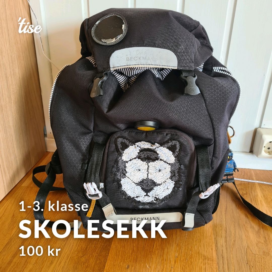 Skolesekk