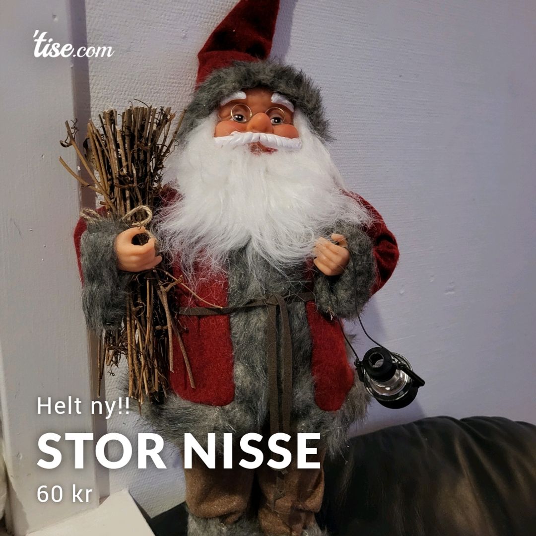 Stor NISSE