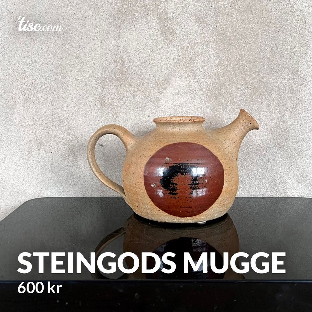 steingods mugge