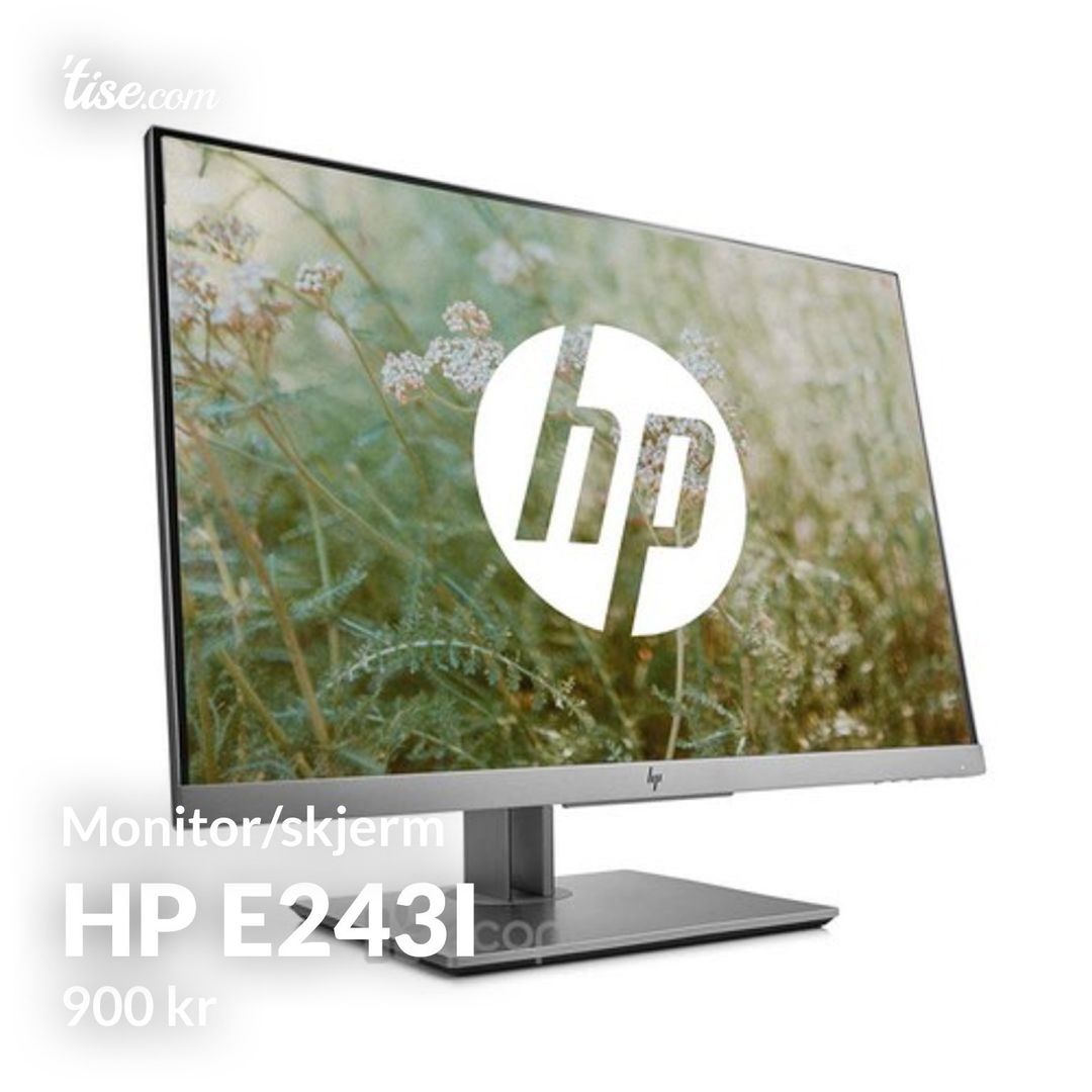 HP E243i