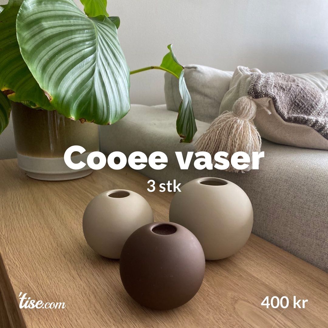 Cooee vaser