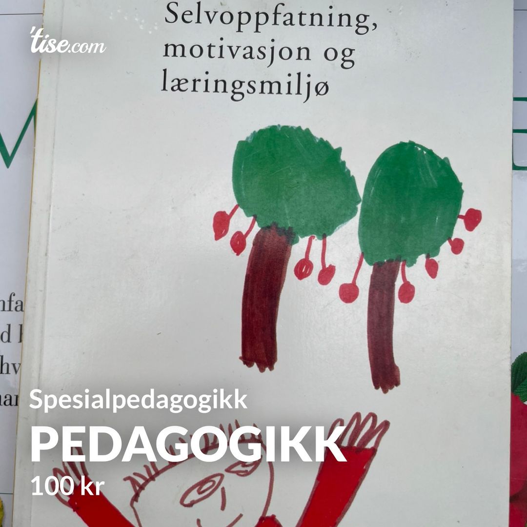 Pedagogikk