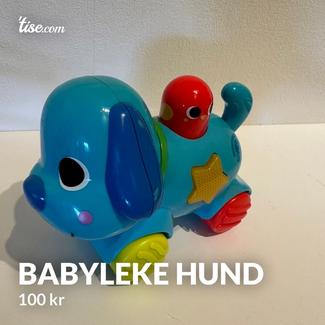 Babyleke hund