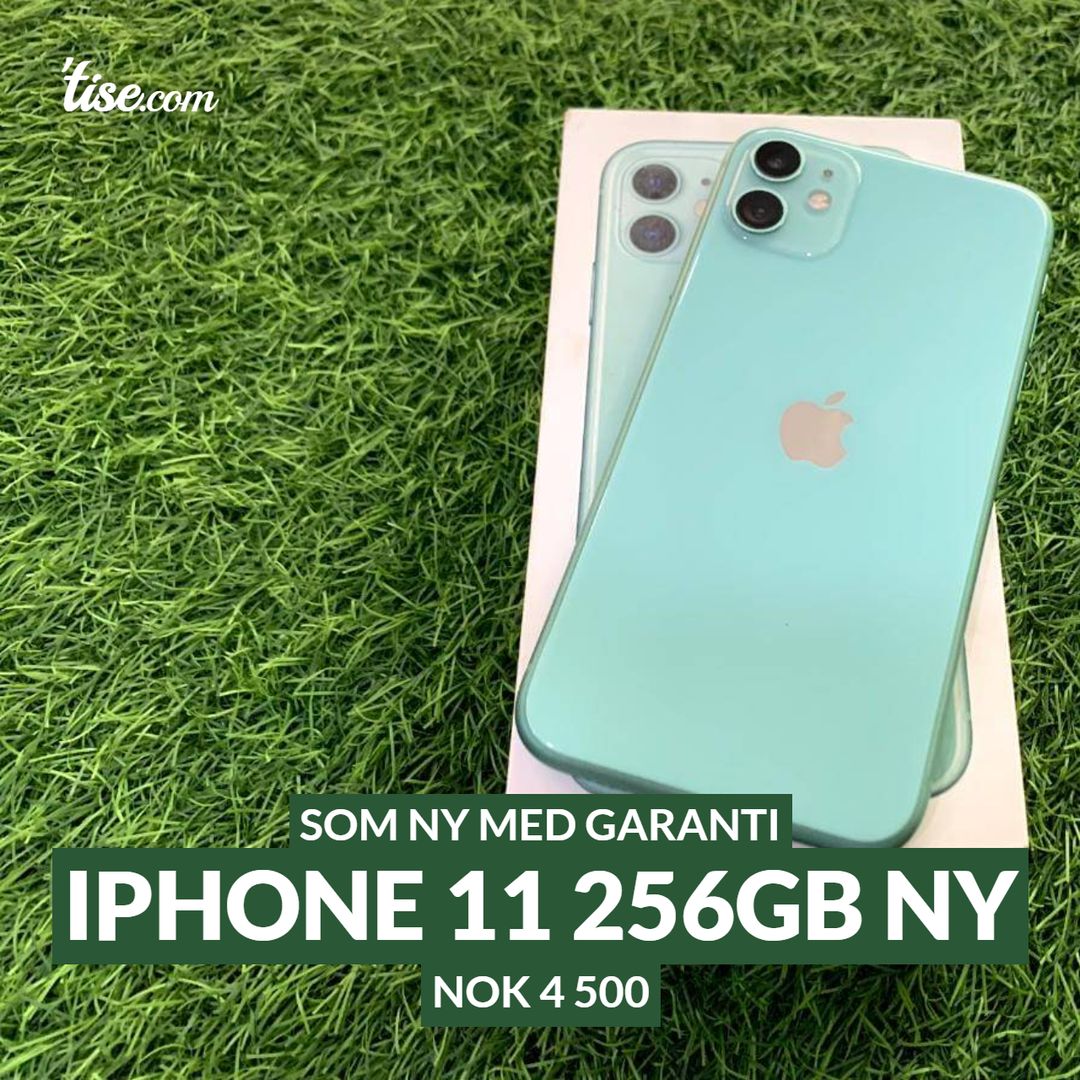 iPhone 11 256GB NY