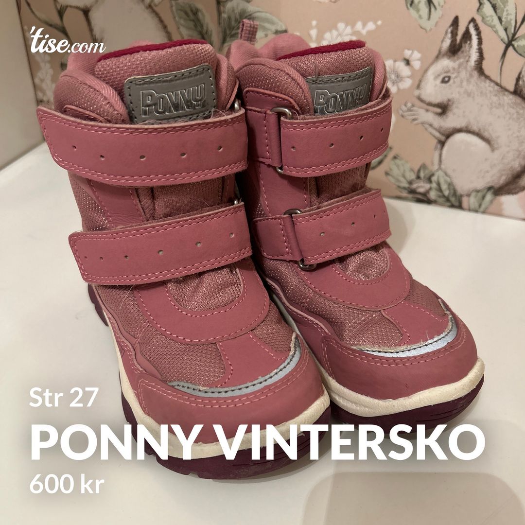 Ponny vintersko