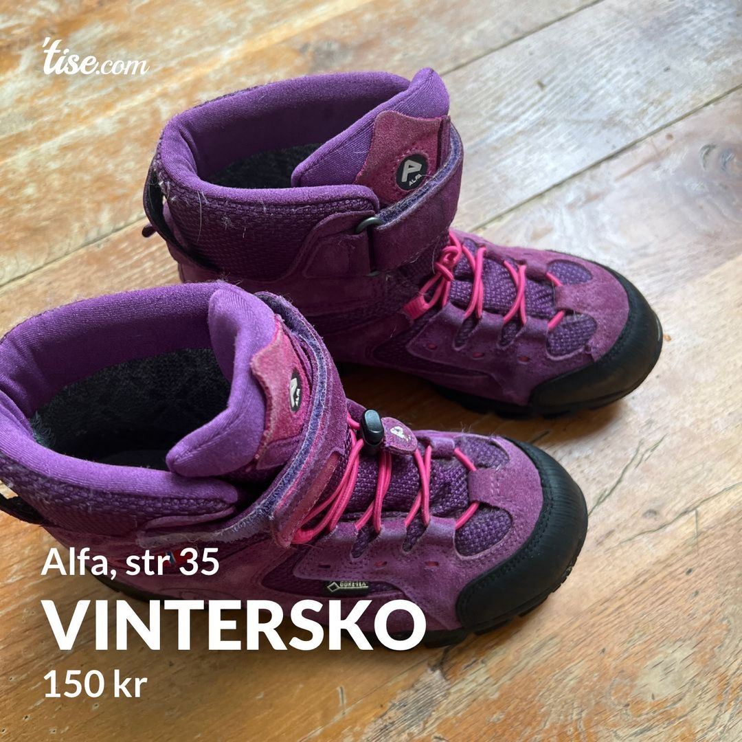 Vintersko