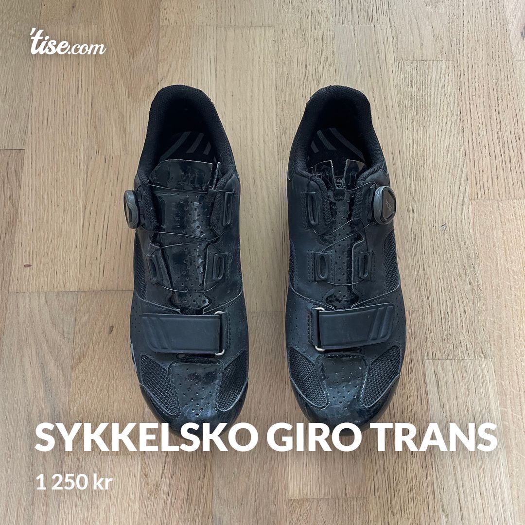 Sykkelsko Giro Trans