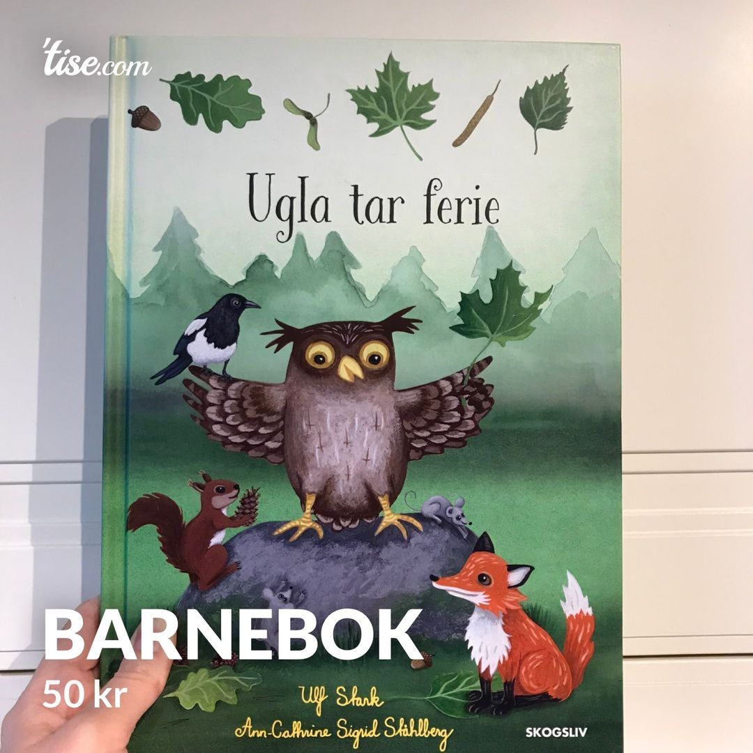 Barnebok