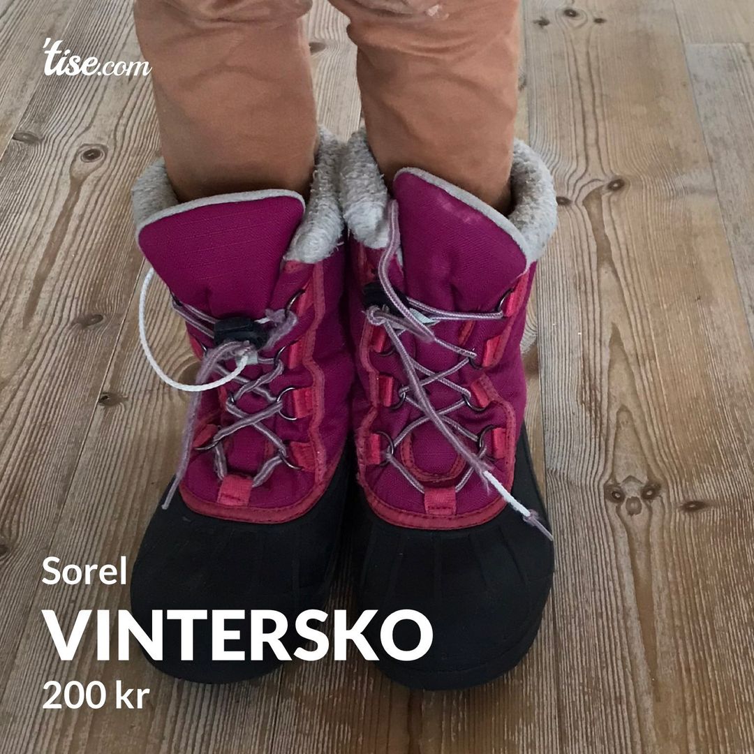 Vintersko