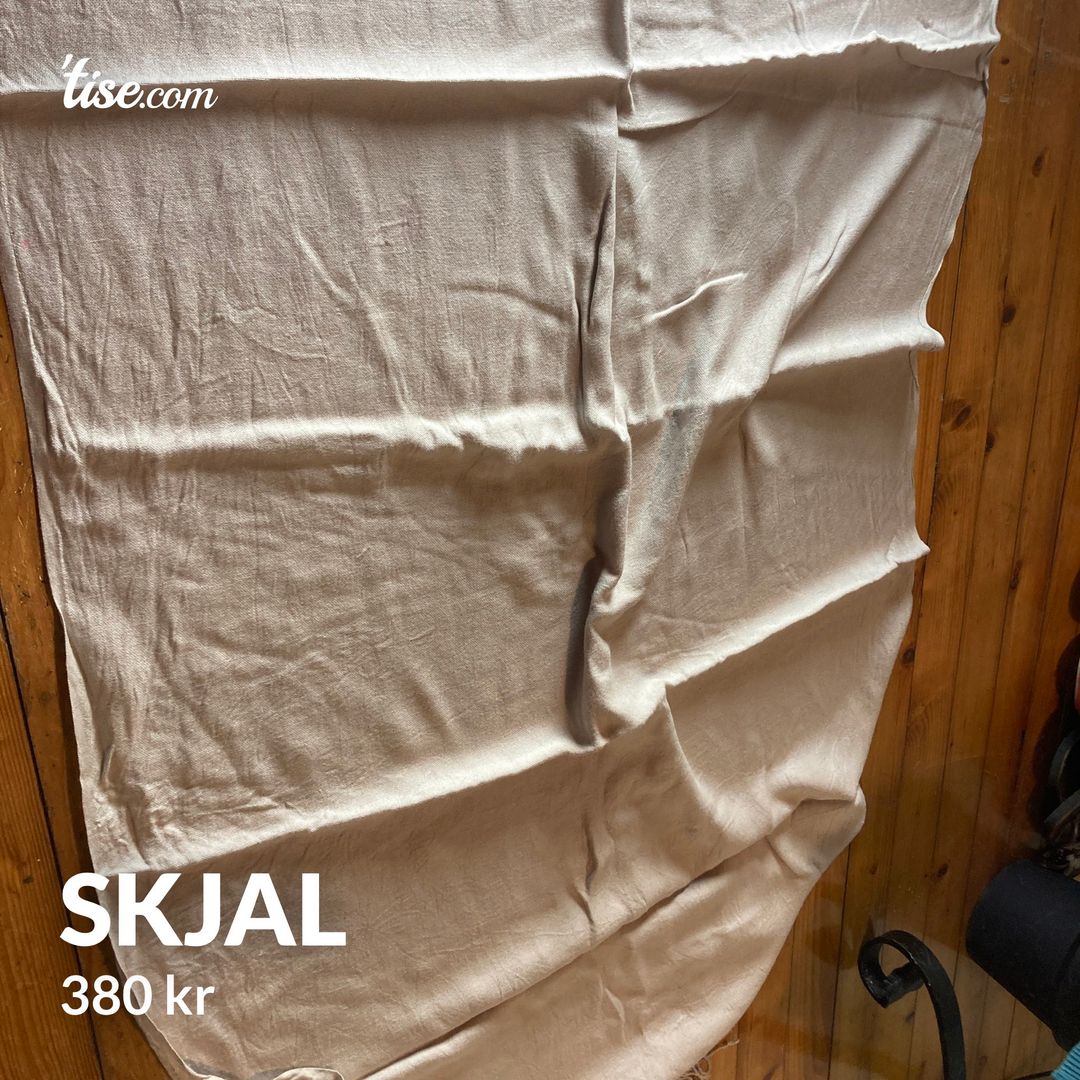 Skjal