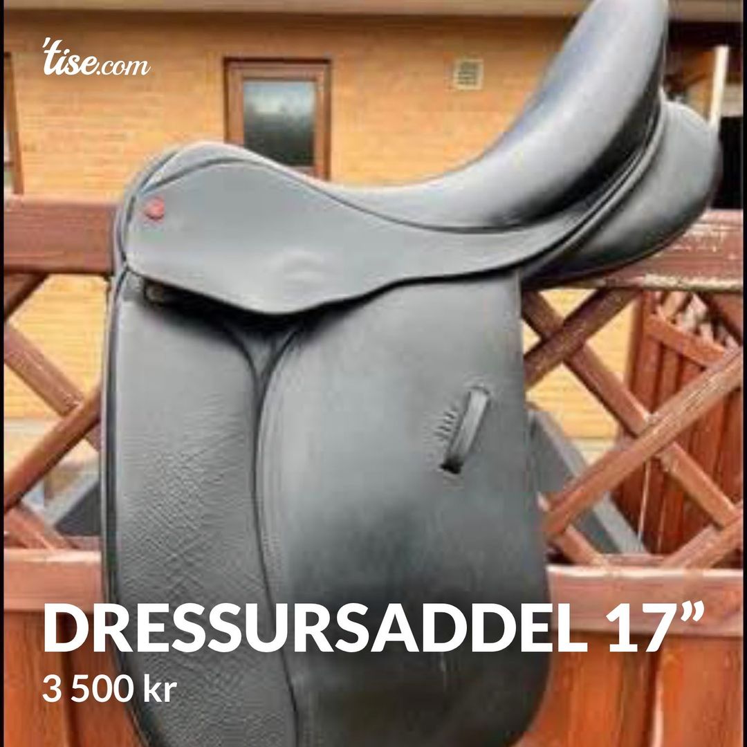 Dressursaddel 17”