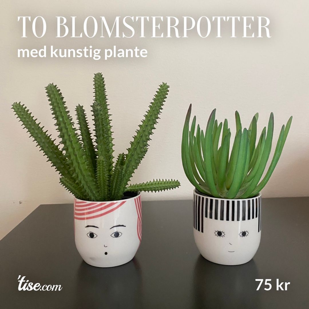 To blomsterpotter