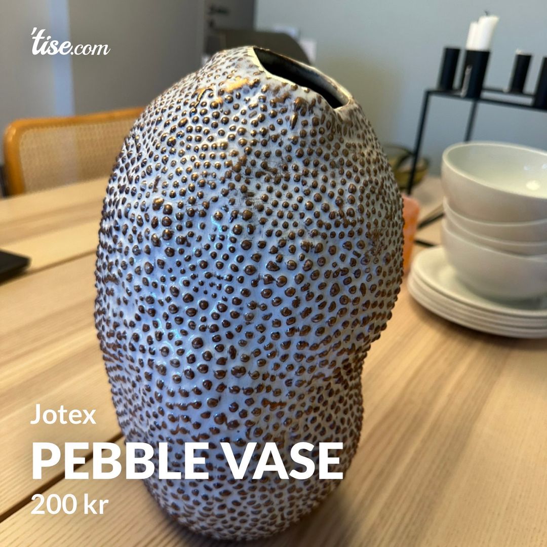 Pebble vase