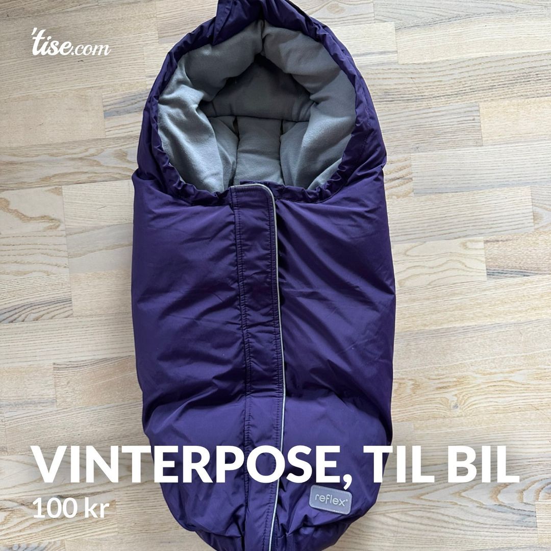 Vinterpose til bil