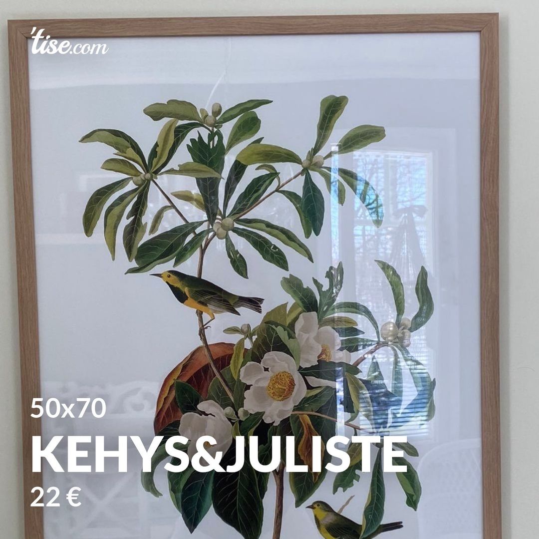 Kehysjuliste