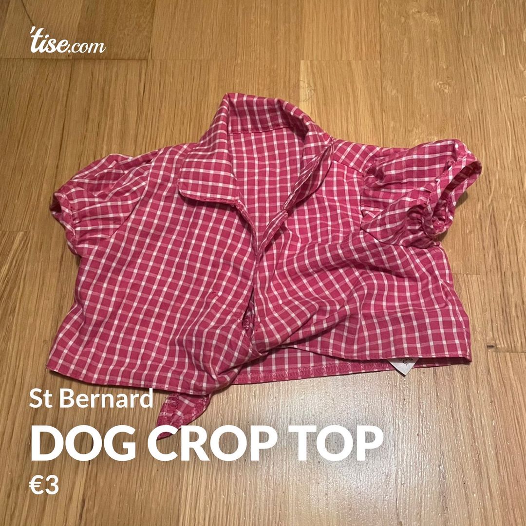 Dog crop top