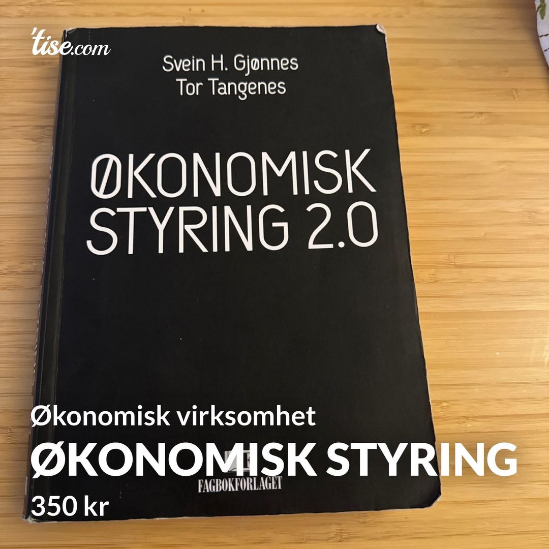 Økonomisk styring