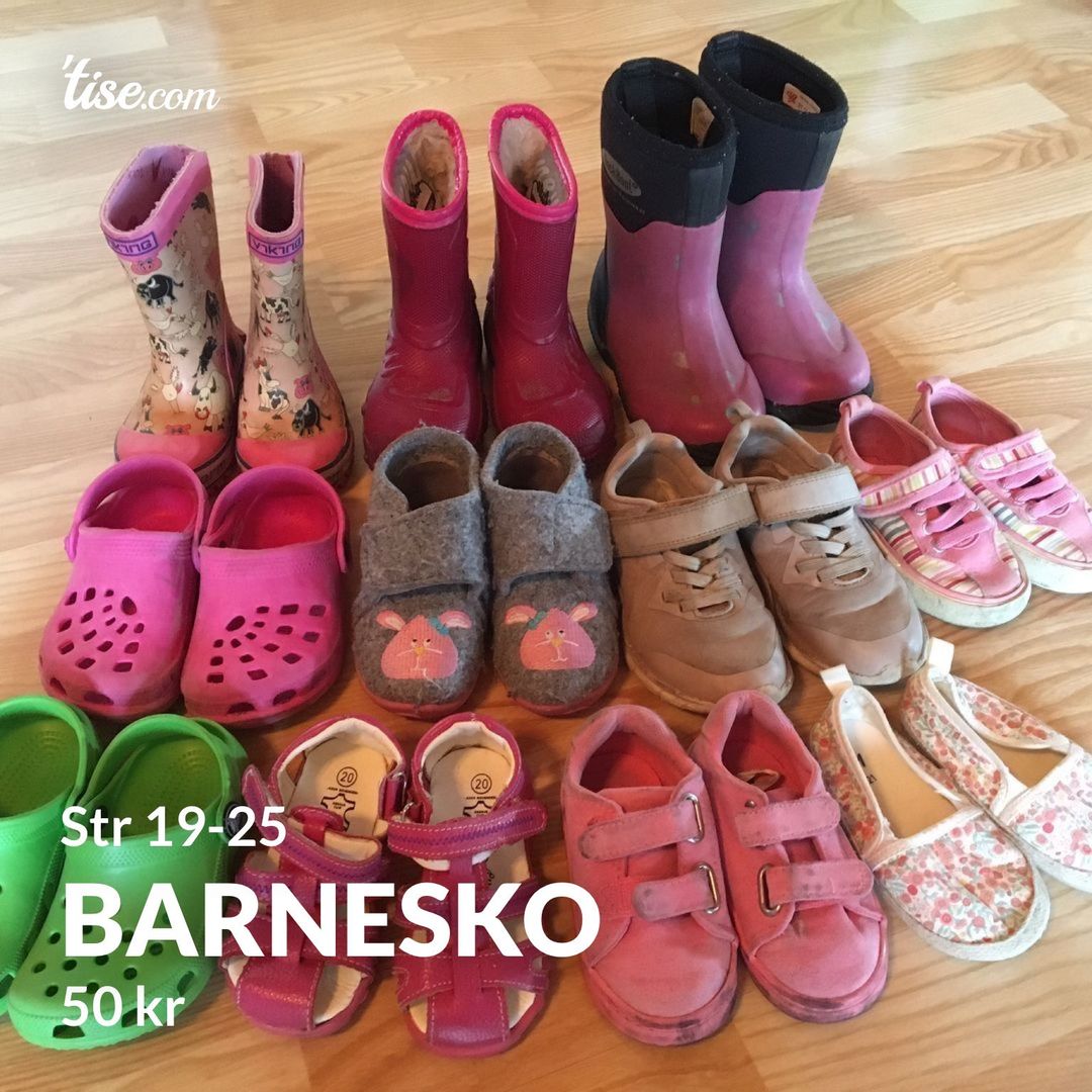 Barnesko