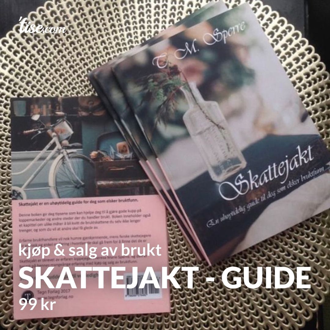 Skattejakt - guide