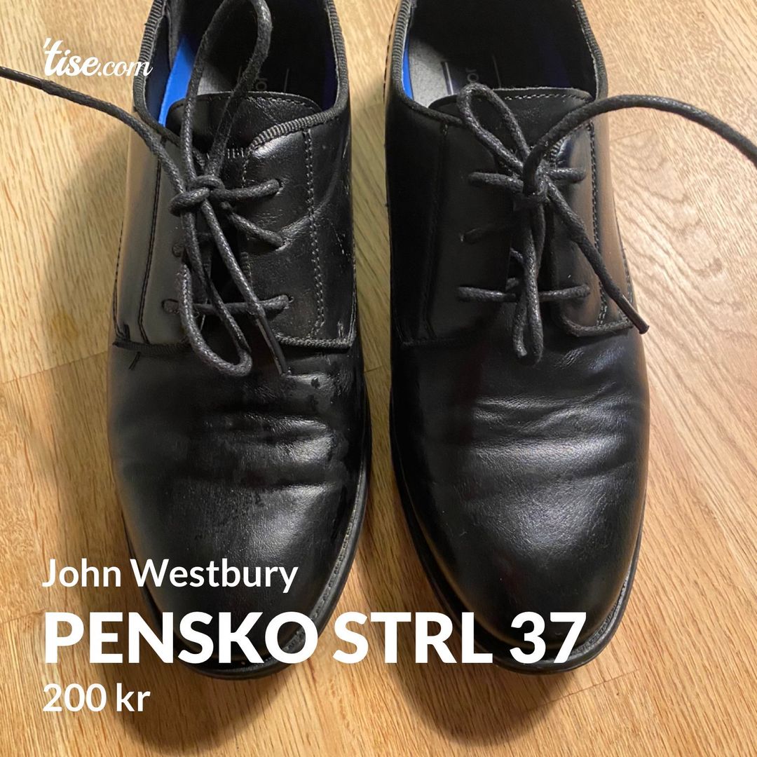 Pensko strl 37