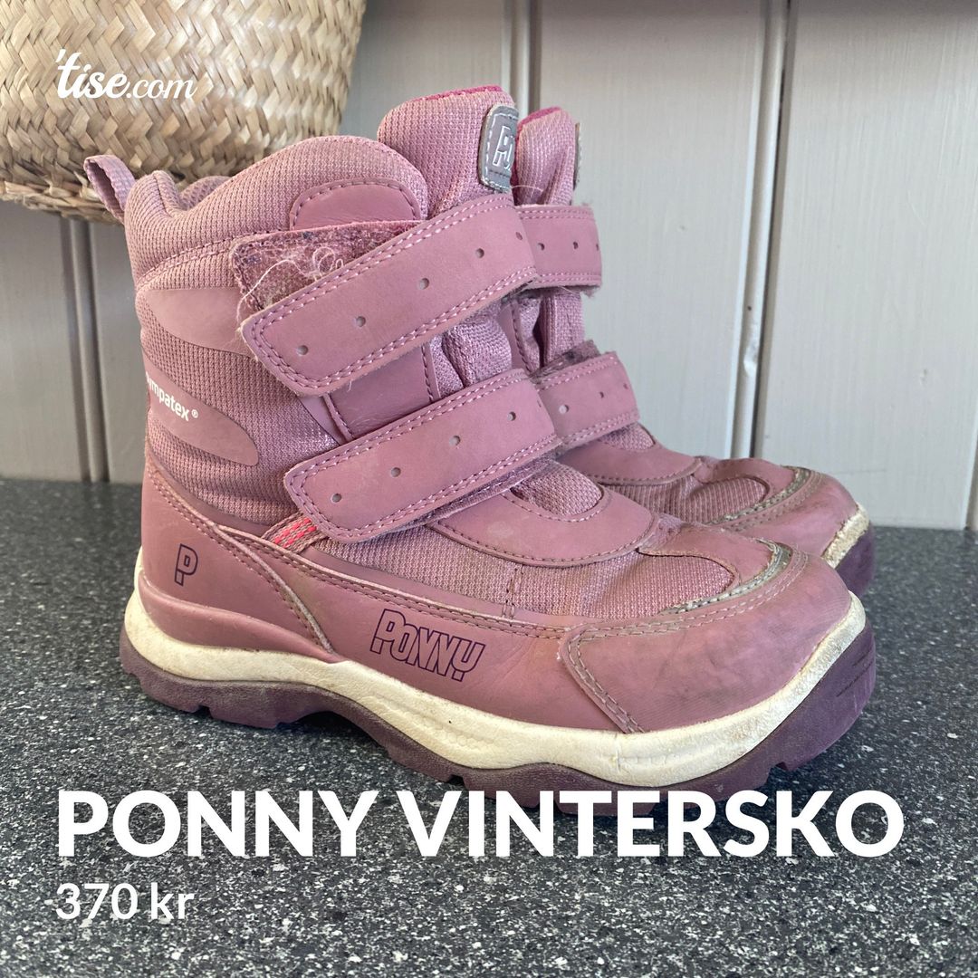 Ponny vintersko