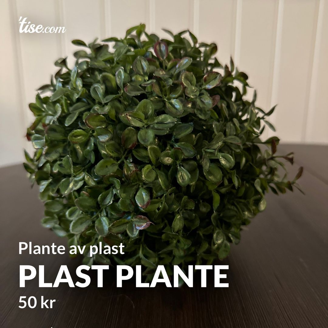 Plast plante