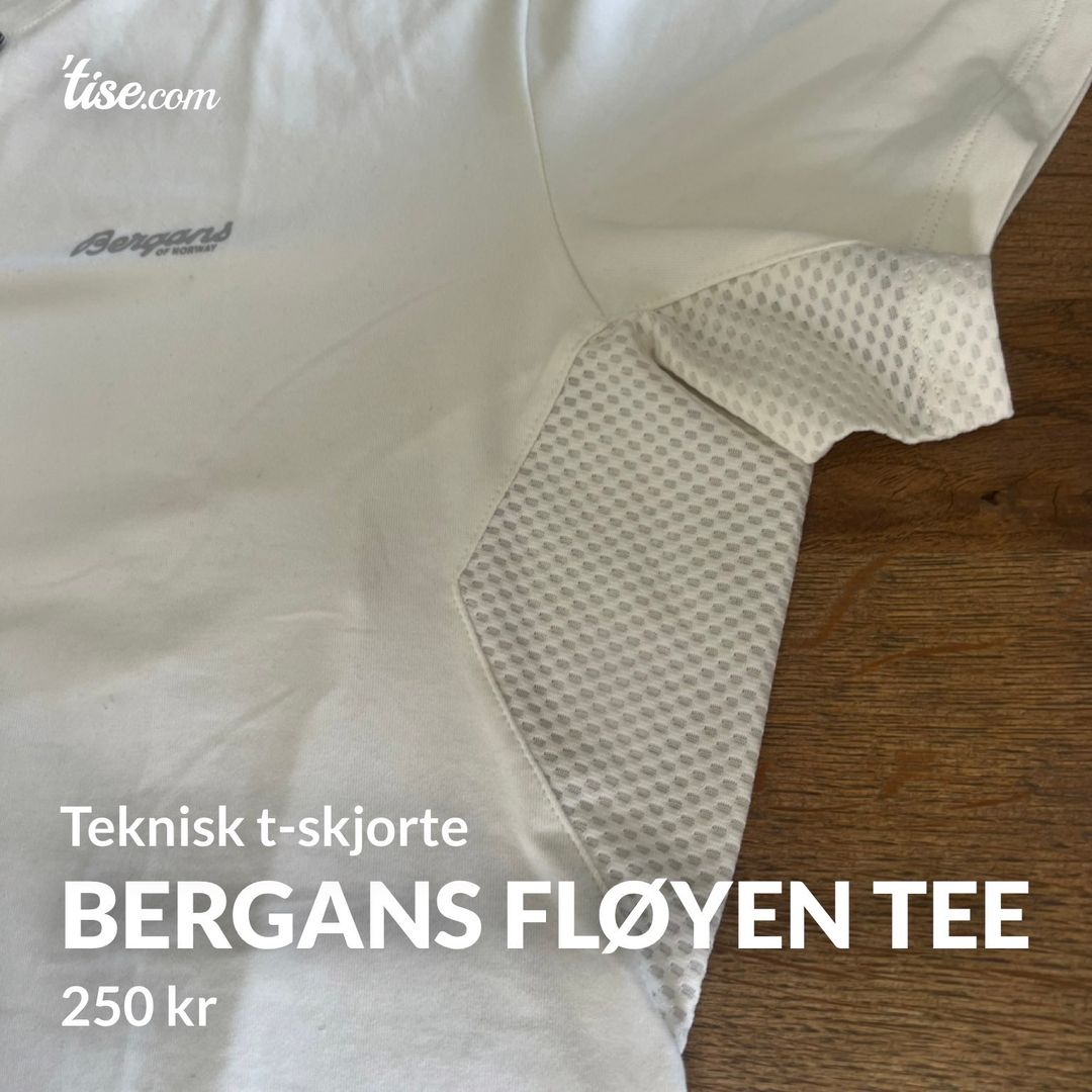 Bergans Fløyen Tee