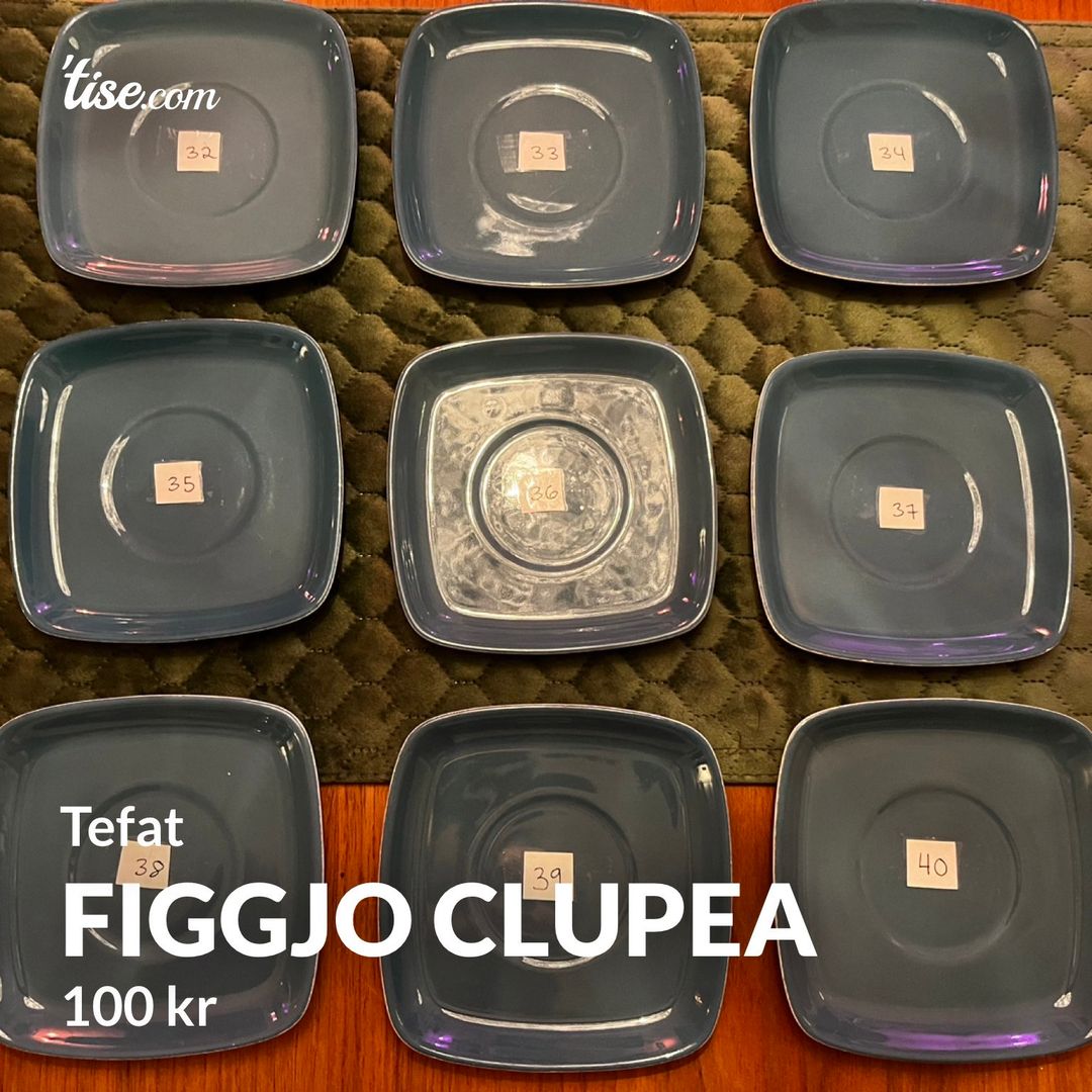 Figgjo clupea