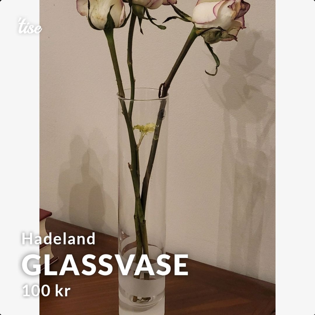 Glassvase