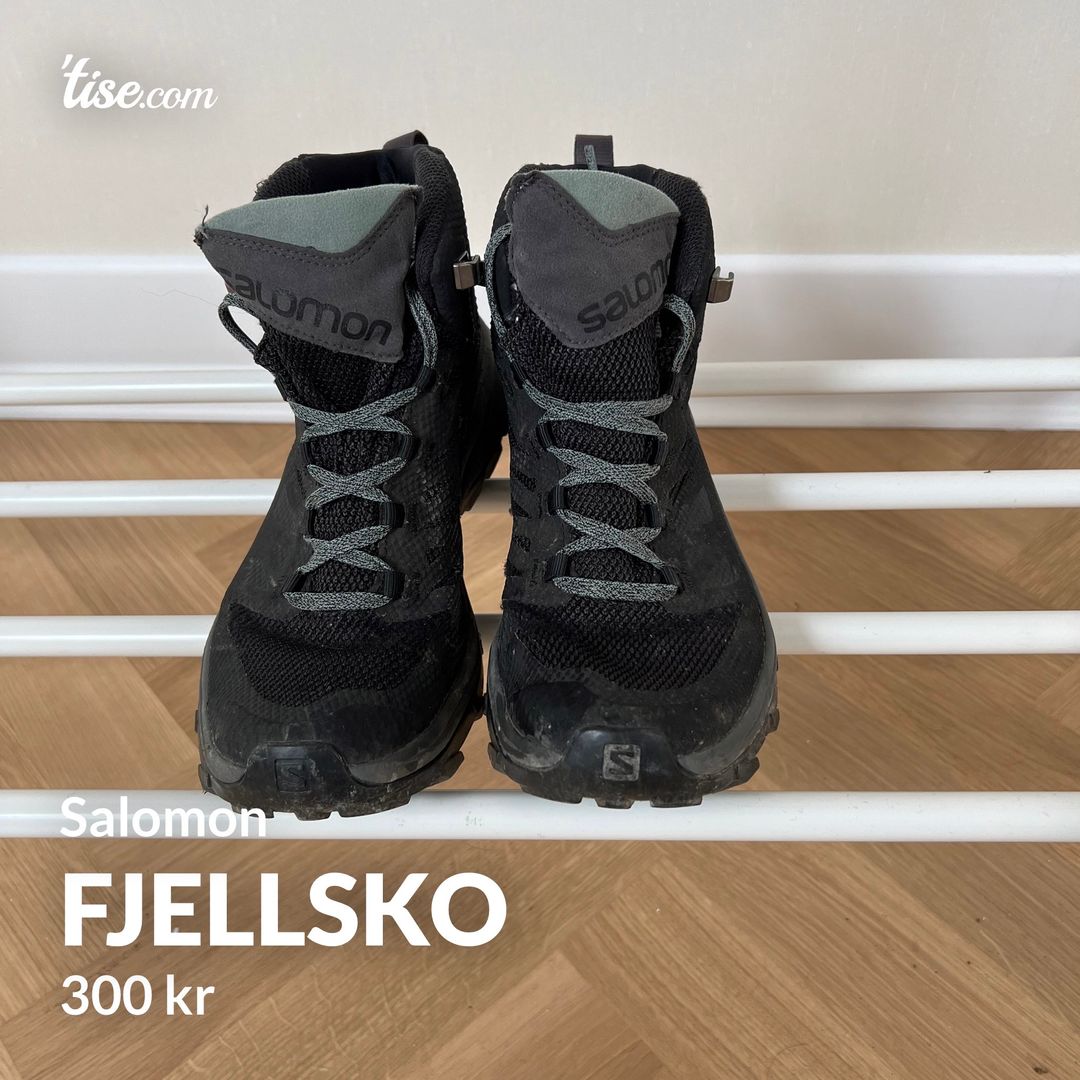 Fjellsko