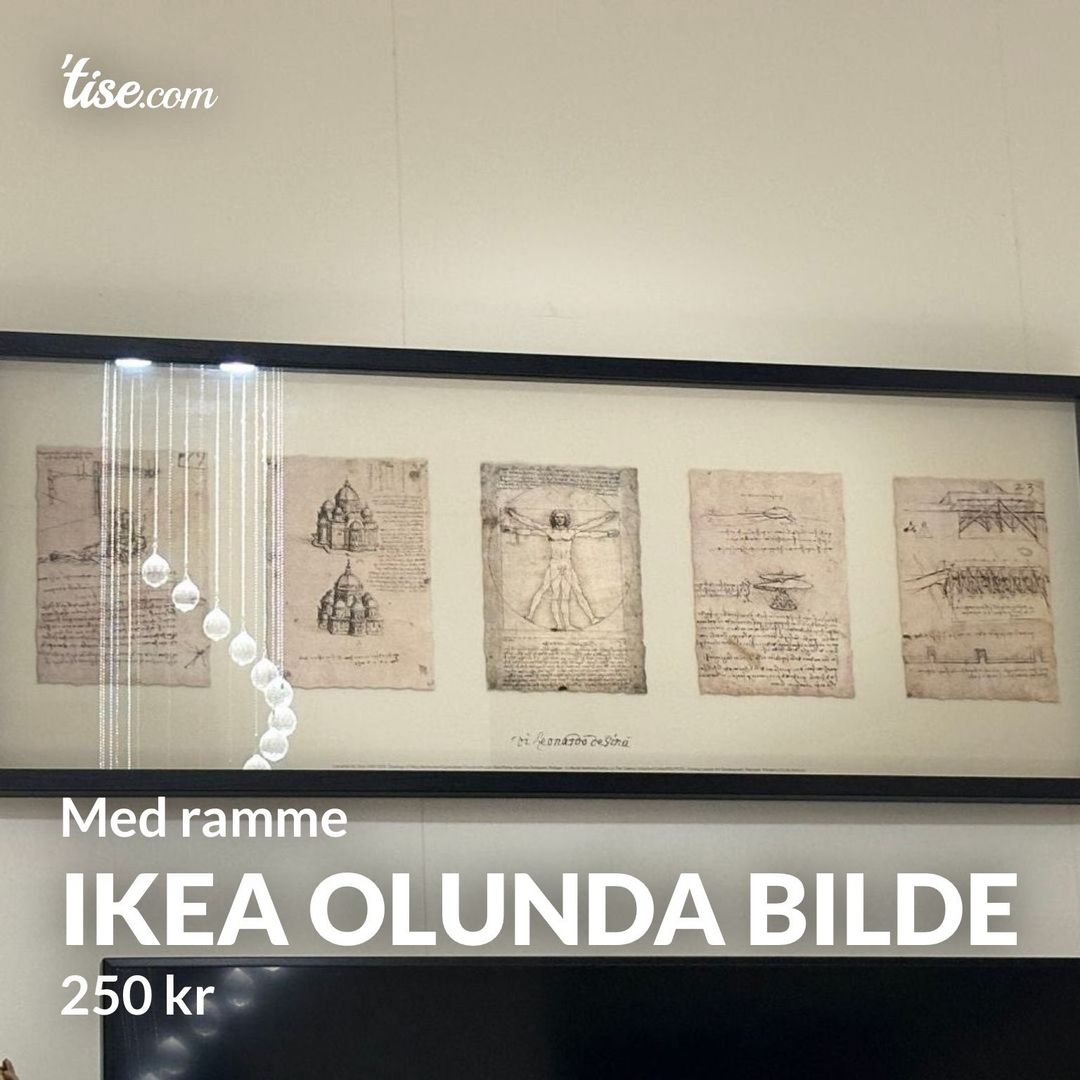 Ikea Olunda Bilde