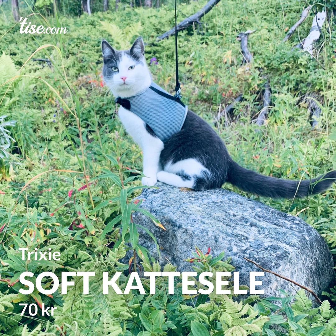 Soft kattesele