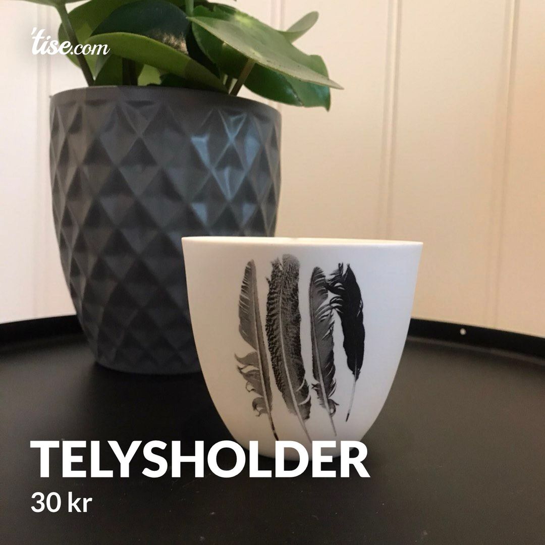 Telysholder