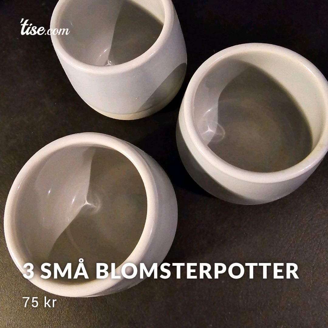 3 Små Blomsterpotter