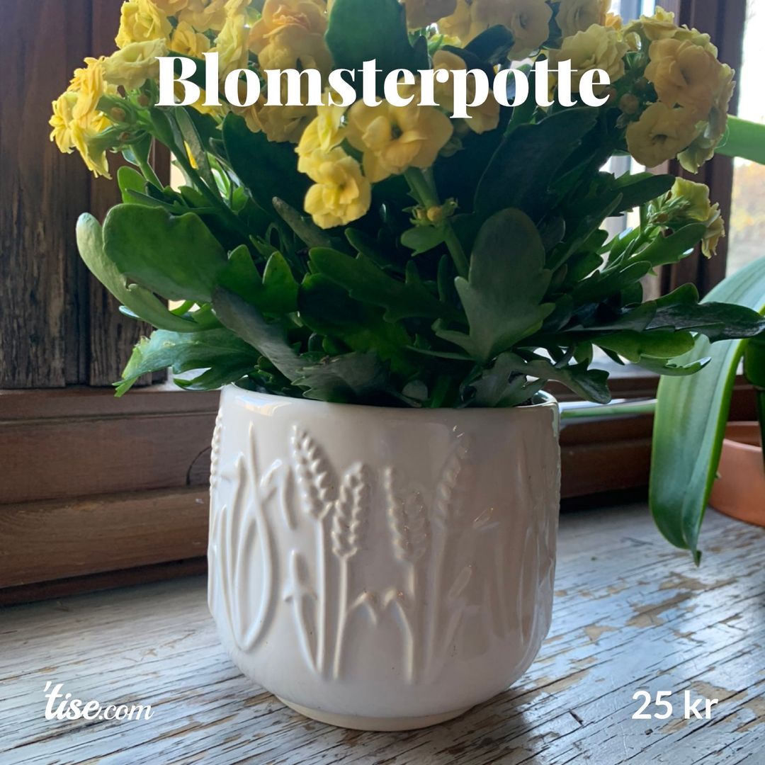 Blomsterpotte