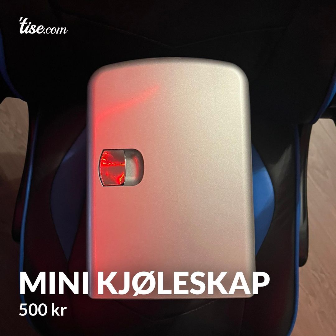 Mini kjøleskap